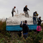 forced labour in cotton industry in Uzbekistan