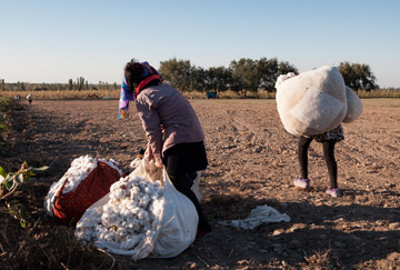 Forced labour in cotton industry in Uzbekistan