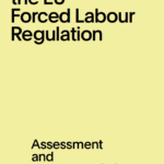 Cover of an analysis paper. Text that reads: "Understanding the EU Forced Labour Regulation. Assessment and recommendations."